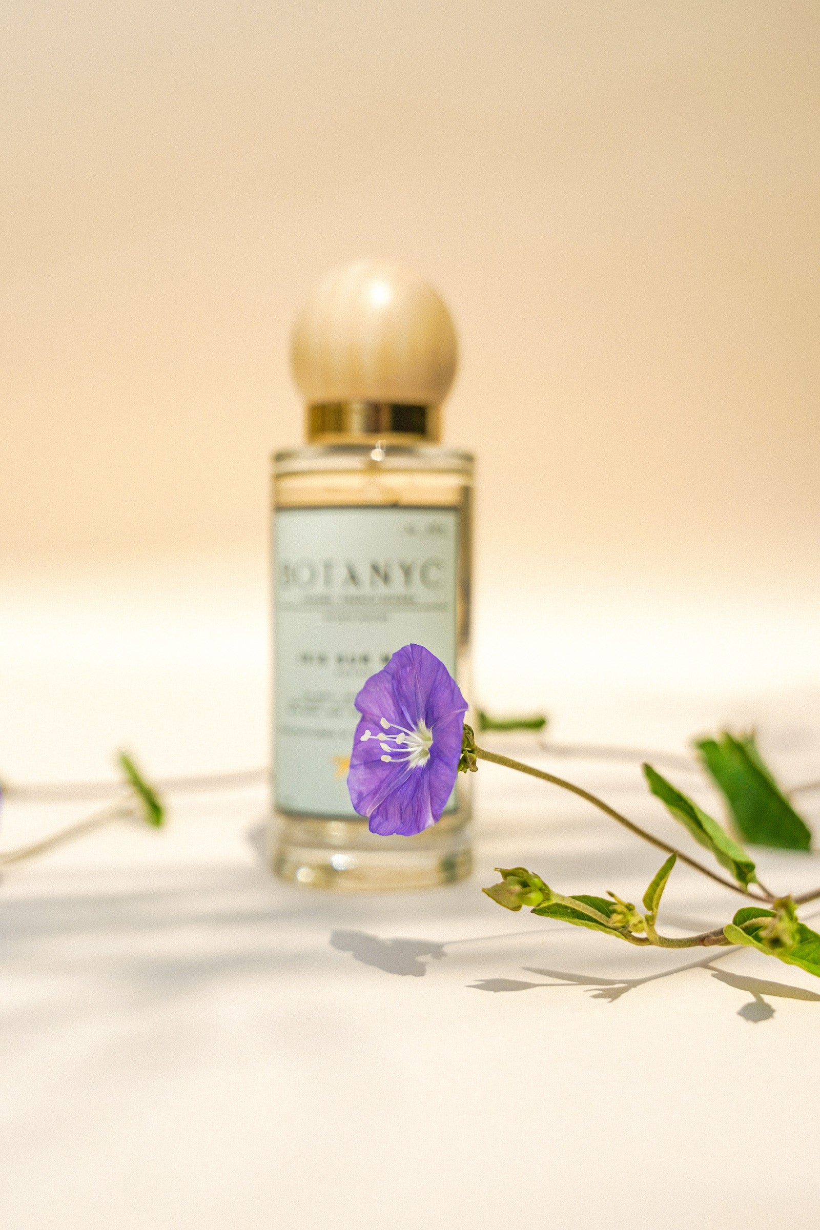 IRIS SUR MER HAIR MIST